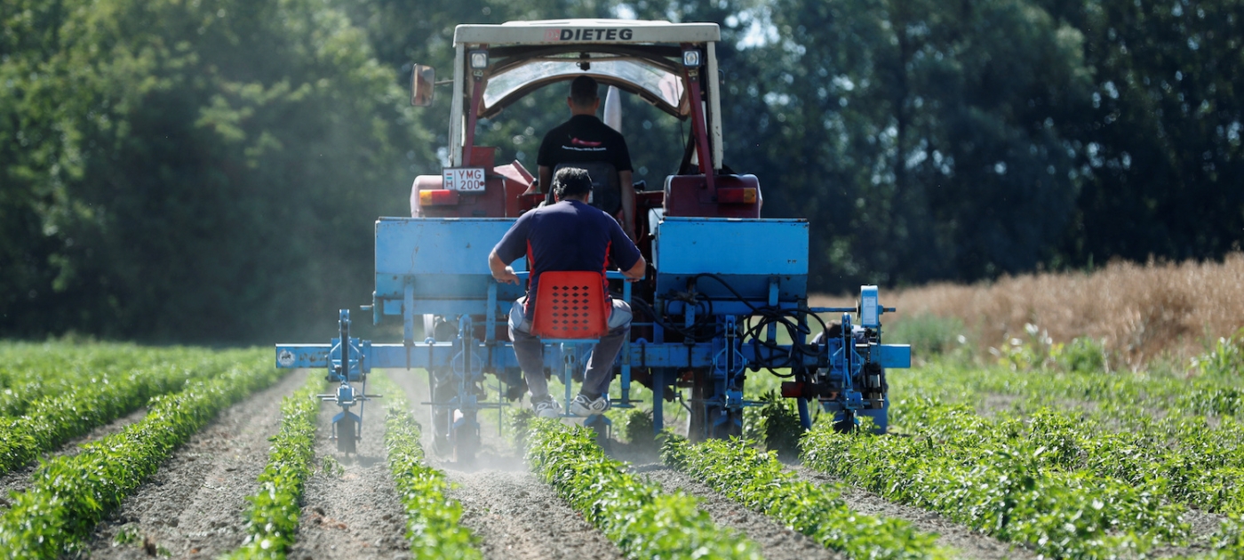 Las ayudas para fertilizantes por el conflicto en Oriente Medio van de 22 a 55 euros por hectárea