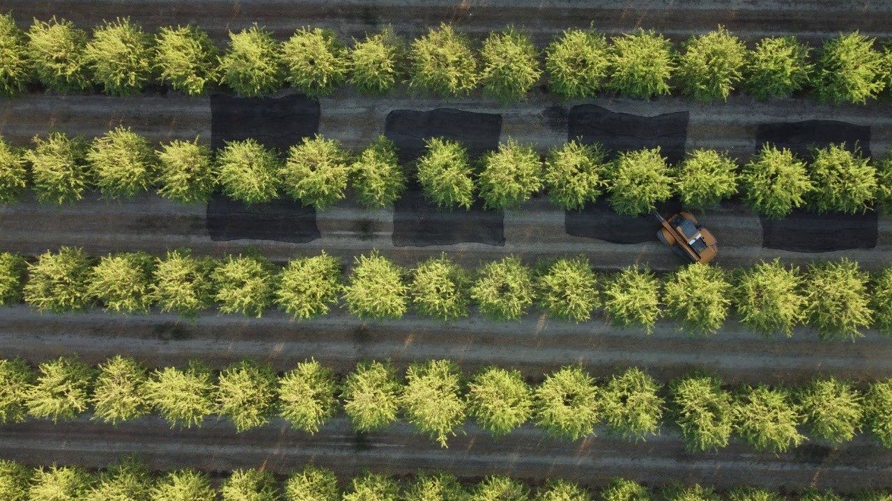 «Hambre oculta»: el desafío nutricional que empieza en la gestión del suelo y acaba en el consumidor