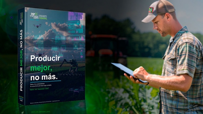 Lote por lote: la decisión que puede cambiar el resultado de tu campaña