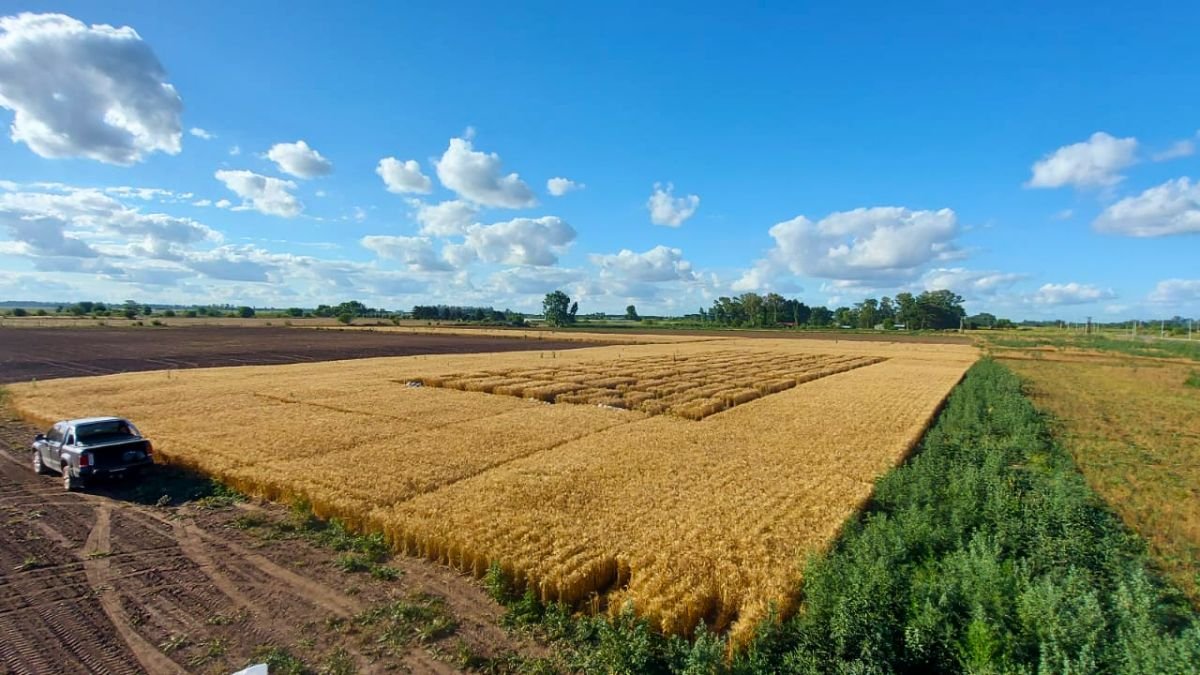 PTFarm presentó Club Agro 360, un modelo integral para mejorar la rentabilidad del productor