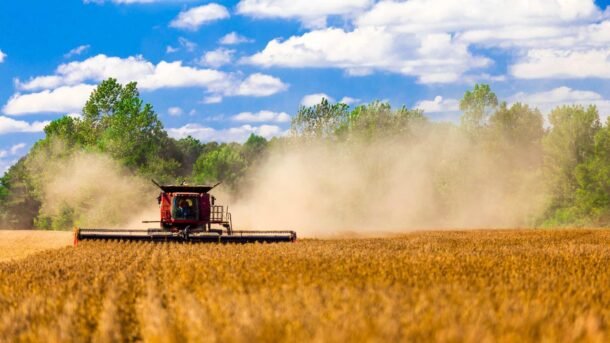 Incertidumbre global genera alertas en el agro paraguayo