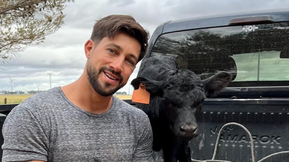 “Necesitamos ayuda”: un reconocido influencer del agro denunció la desaparición de 190 animales de un campo familiar