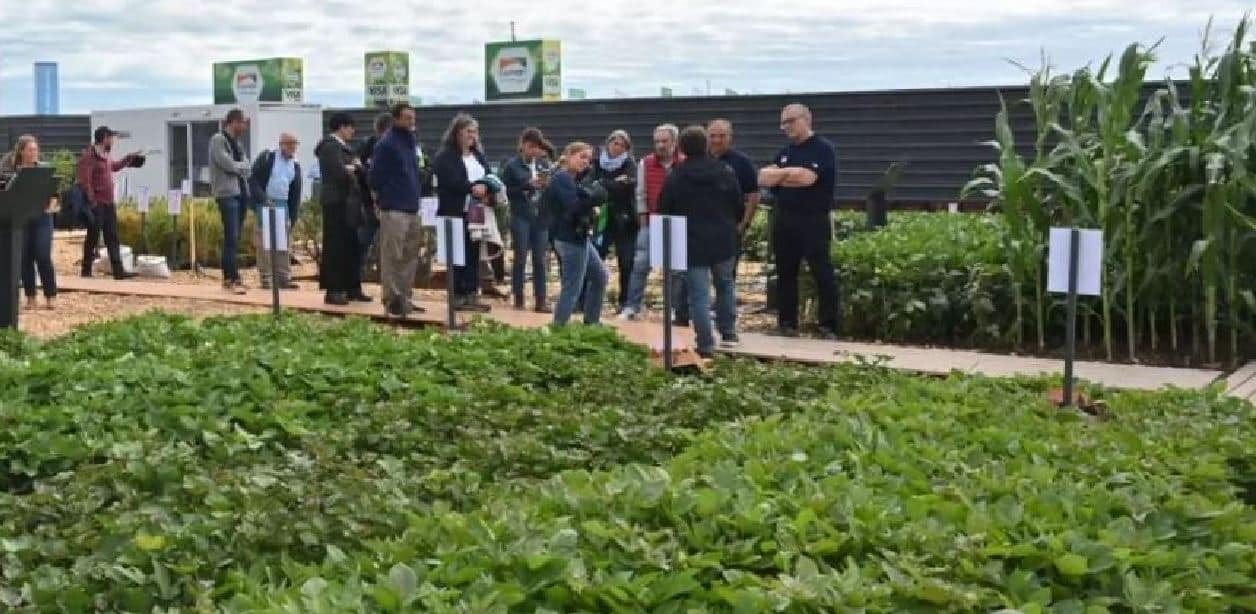 INTA desembarca en Expoagro con más de 30 cultivares, drones y tecnología para el campo