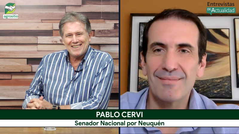 Cómo ve la competitividad agropecuaria con Milei, el Senador, agrónomo, y productor Pablo Cervi 1 Cómo ve la competitividad agropecuaria con Milei, el Senador, agrónomo, y productor Pablo Cervi