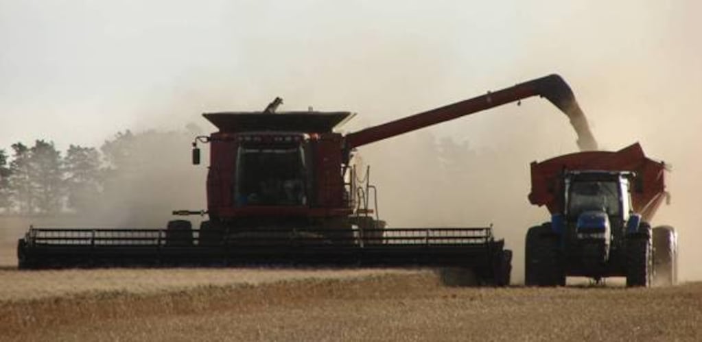 Con impulso del agro, la economía cerró 2025 en recuperación, pero con brechas sectoriales