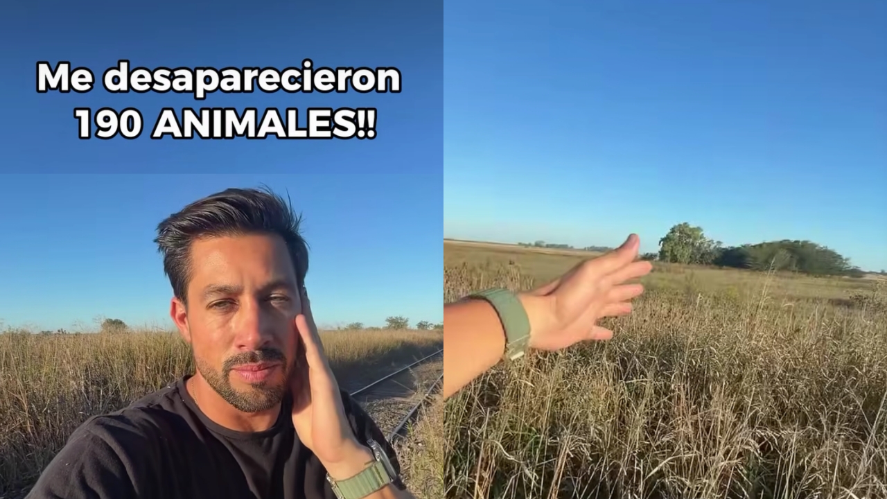Desesperado pedido de productor rural: denuncia el robo de 190 animales y pide ayuda para encontrarlos 1 Desesperado pedido de productor rural: denuncia el robo de 190 animales y pide ayuda para encontrarlos