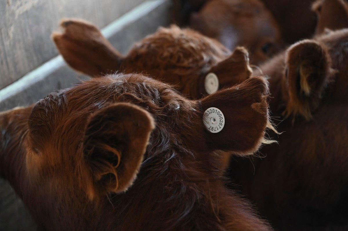 Guerra en Medio Oriente encarece costos del agro 1 Guerra en Medio Oriente encarece costos del agro