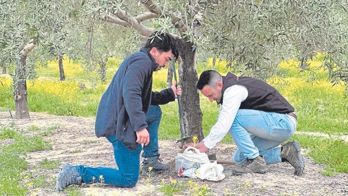 Agricultura en línea con los ODS