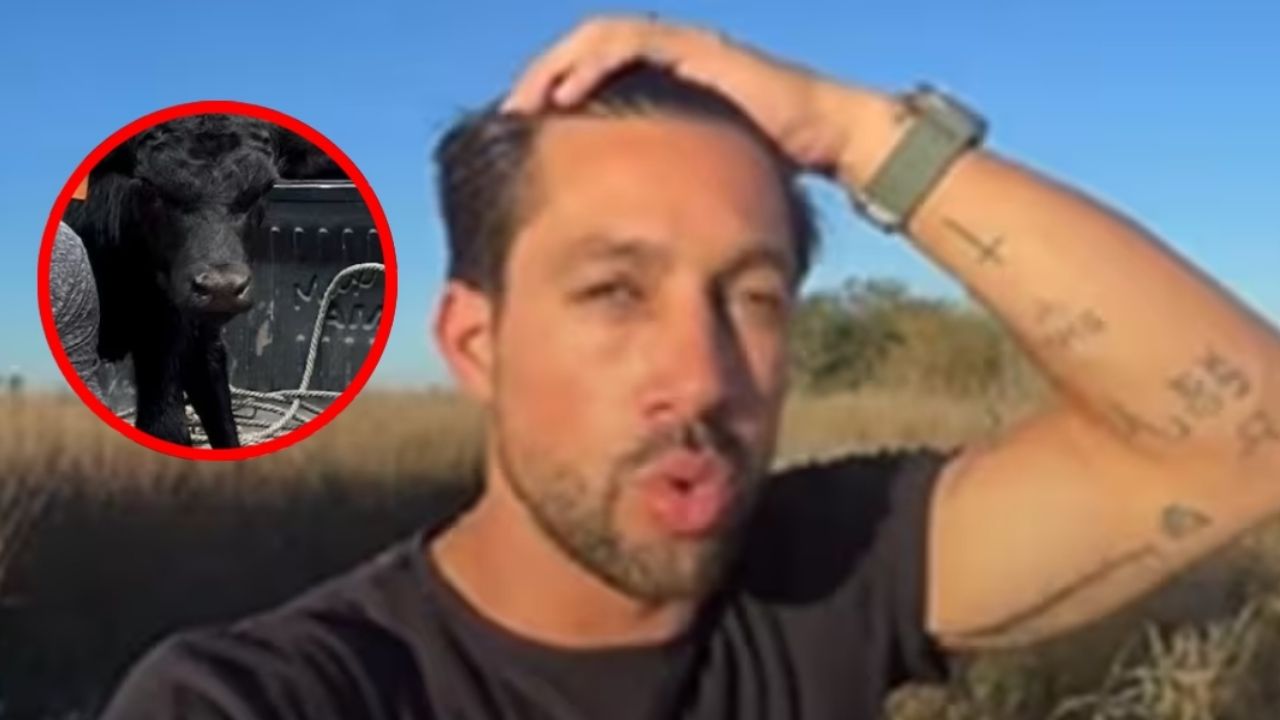 Roban 190 animales a influencer quien estima pérdidas que alcanzan casi los 4 millones de pesos: 