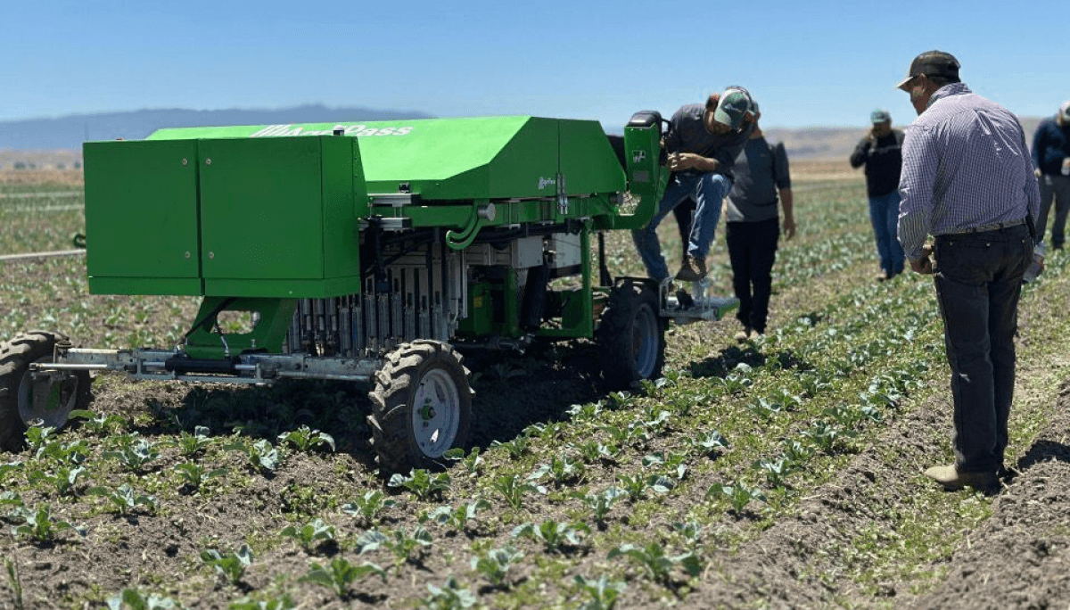 Fabrican un robot que “piensa como agricultor” para eliminar malezas y buscan llegar a América Latina 1 Fabrican un robot que “piensa como agricultor” para eliminar malezas y buscan llegar a América Latina