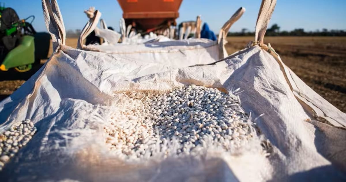 Gigante agroindustrial compró una histórica empresa de dulces y se expande en el mercado local