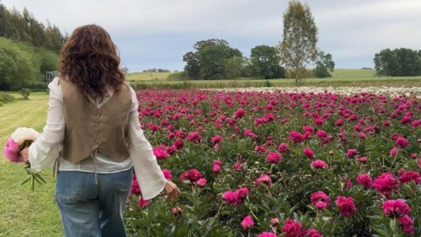 Del consultorio a floricultores: el proyecto de peonías que florece en las sierras de Tandil 1 Del consultorio a floricultores: el proyecto de peonías que florece en las sierras de Tandil