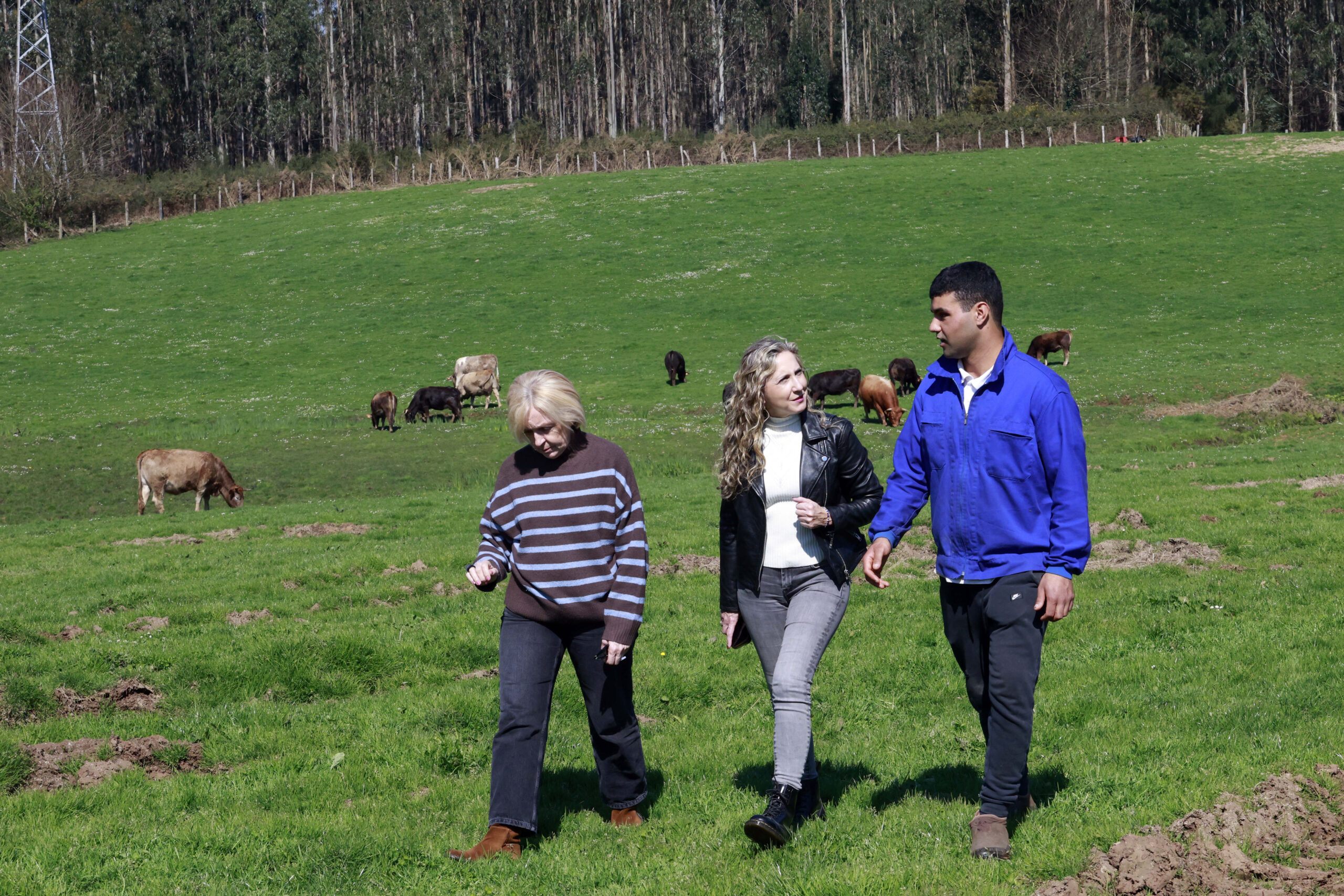 La Xunta destina 53 M€ para la incorporación de la juventud al campo y la mejora de sus explotaciones