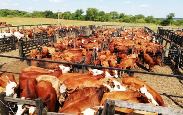 El 8 de abril arranca en Bordenave un nuevo ciclo de las Jornadas a campo del IPCVA