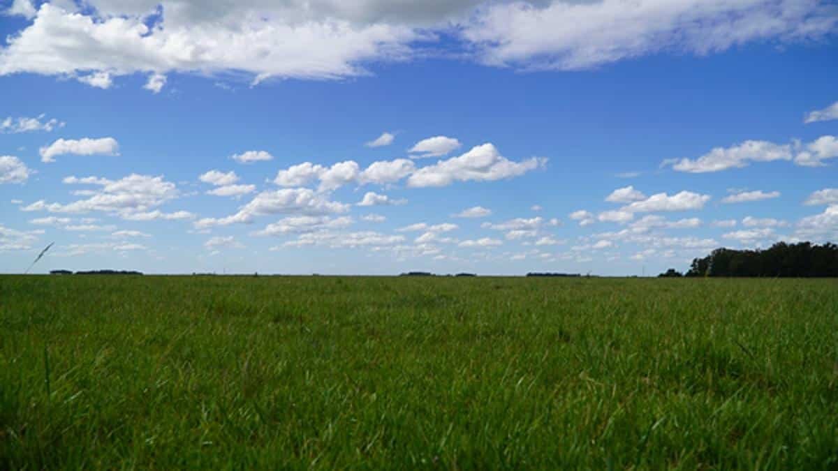 Santa Rosa reúne al agro: llega el Simposio FERTILIDAD 2026 para producir más con menos agua