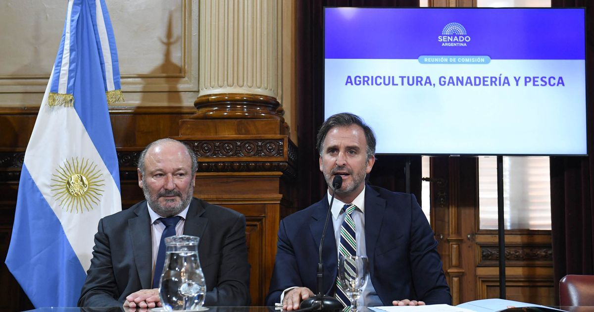 Diputados y senadores conformaron las comisiones de Agricultura: quiénes las presiden