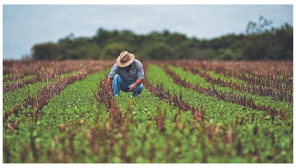 El agro peruano merece más que promesas recicladas 1 El agro peruano merece más que promesas recicladas