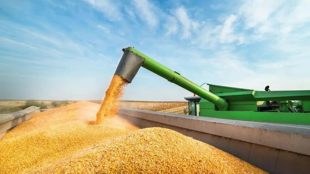 Las exportaciones del agro durante 2025 entraron al podio histórico del sector