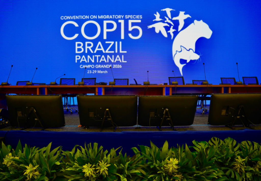 COP15: Consulte la programación de la Conferencia sobre Especies Migratorias en Campo Grande (MS)