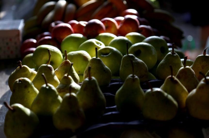 ARCA dejó de devolver reintegros por las exportaciones de fruta y hay preocupación