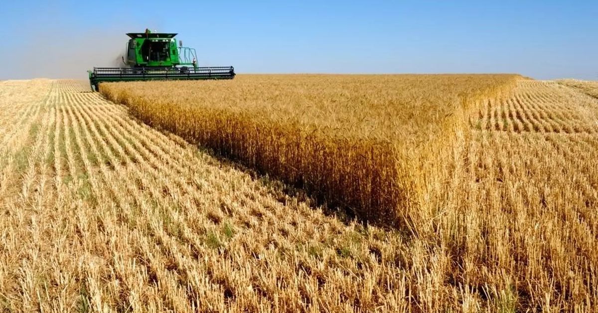 El campo suma ya un sobrecoste de 100 millones por la guerra de Irán 1 El campo suma ya un sobrecoste de 100 millones por la guerra de Irán