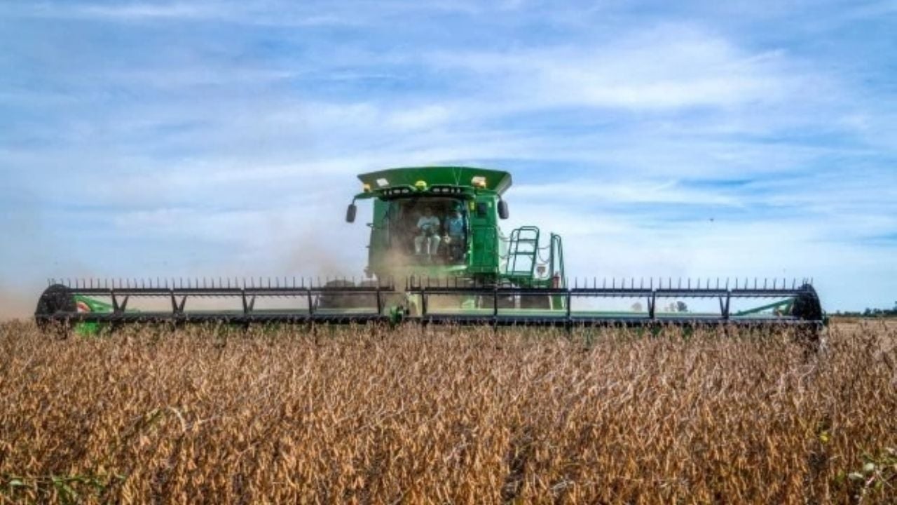 El campo apunta a una cosecha récord y se consolida como clave para la economía en 2026