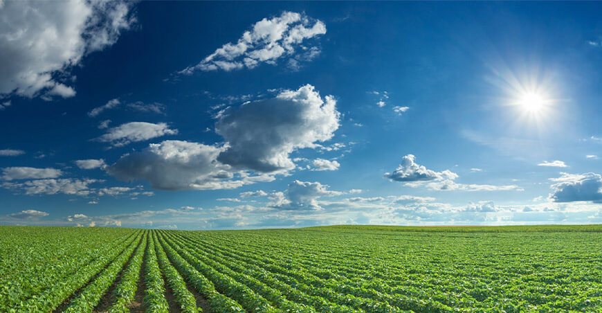 El agro peruano apuesta por la tecnología para proteger el 80% del agua frente a El Niño Costero