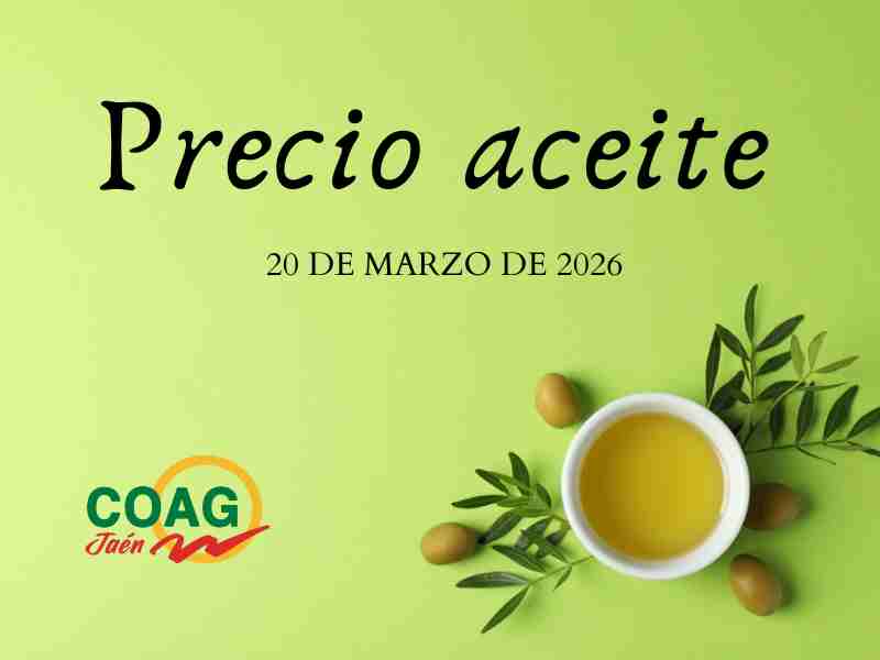 Precio medio en origen del aceite de oliva (20-marzo-2026) 1 Precio medio en origen del aceite de oliva (20-marzo-2026)