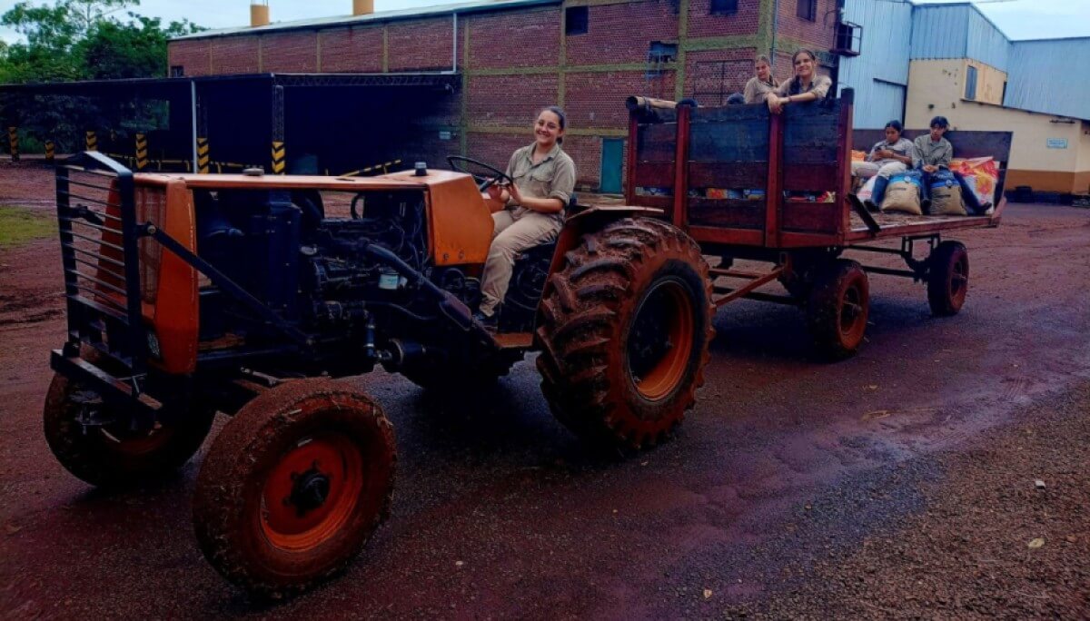 El futuro del campo asoma con más mujeres: crece la cantidad de alumnas en las escuelas agrotécnicas 1 El futuro del campo asoma con más mujeres: crece la cantidad de alumnas en las escuelas agrotécnicas