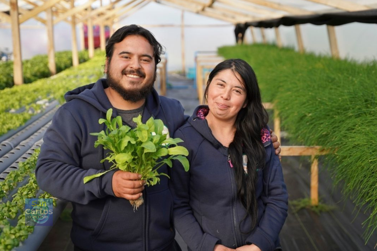 Chile lanza Política Nacional de Juventudes Rurales