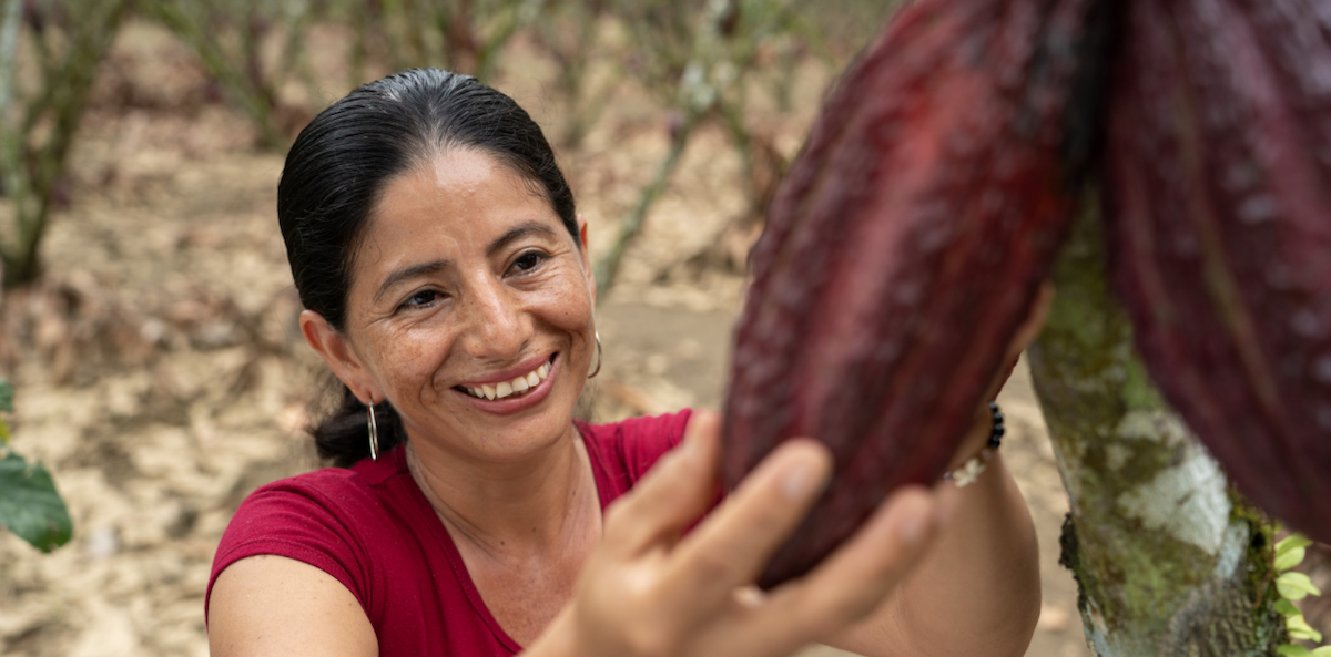 Mujeres lideran la nueva generación del cacao ecuatoriano con Plan Cacao 1 Mujeres lideran la nueva generación del cacao ecuatoriano con Plan Cacao