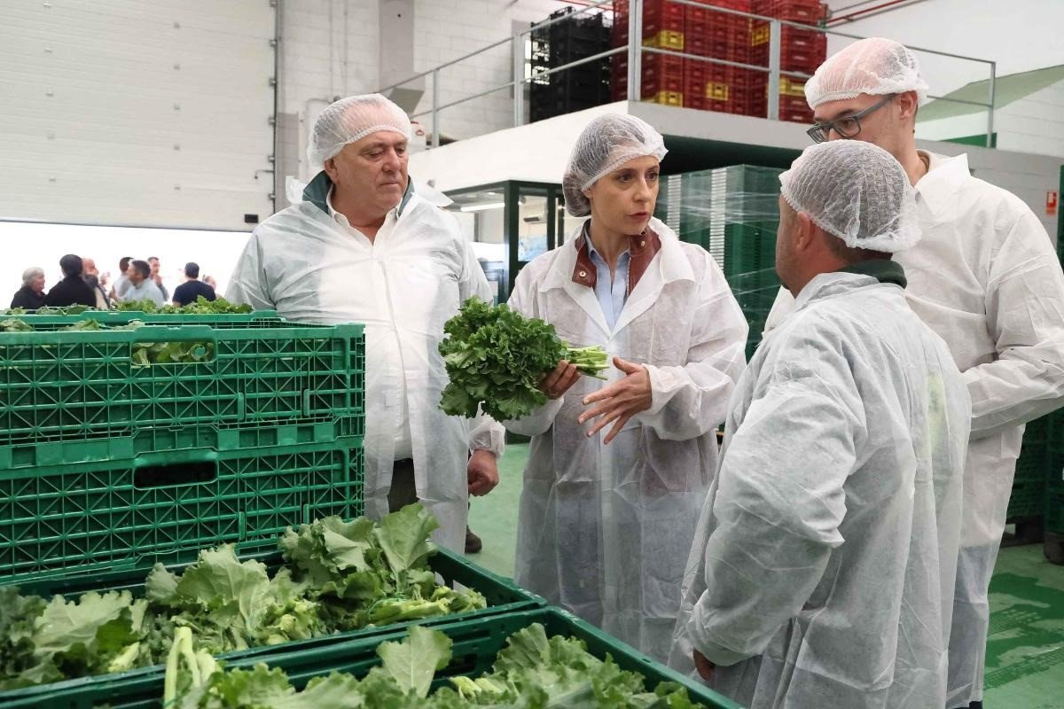 La Xunta apuesta por tutorizar al alumnado de formación agraria para...