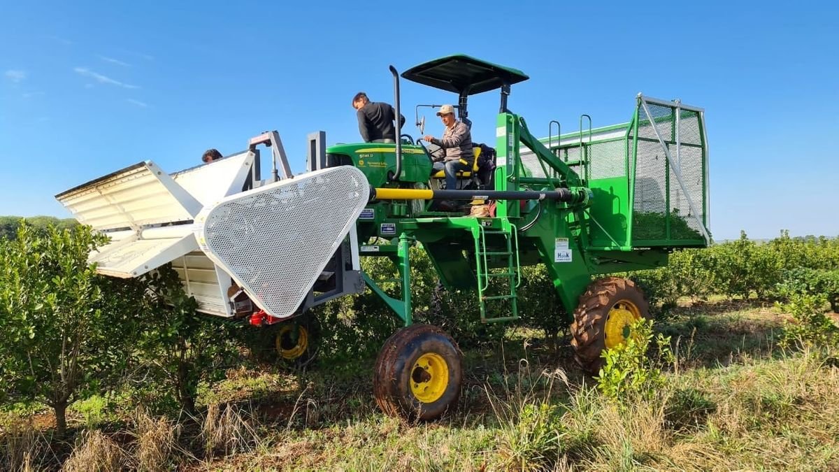 Tecnología, datos y sustentabilidad en las chacras de Misiones