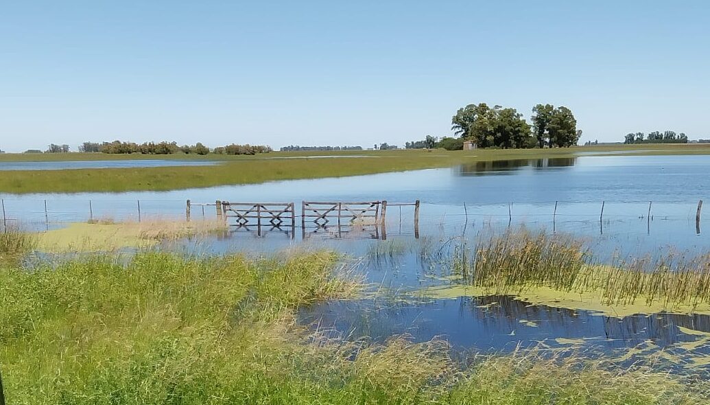 Caminos rurales: “No me hubiera ido nunca del campo, pero llega un momento en que no se puede más” contó Elvio Pérez, contratista de Bolívar, obligado a migrar para que sus hijas puedan ir al colegio