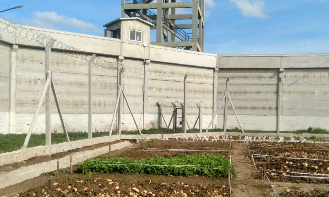 Habló de campo entre barrotes e hizo huertas junto a los convictos: El docente Leonel Damasco cuenta cómo fue su experiencia dictando cursos agropecuarios en el penal de Merlo