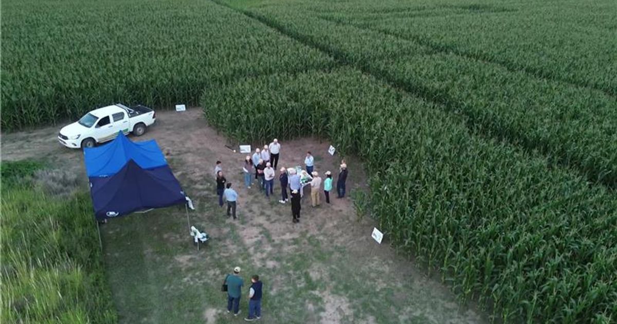 Agritrail realiza su segunda expedición para conocer planteos productivos