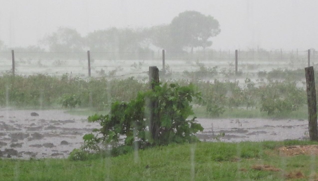 Alerta para el campo entrerriano: el otoño trae lluvias por encima de lo normal y riesgos para la cosecha