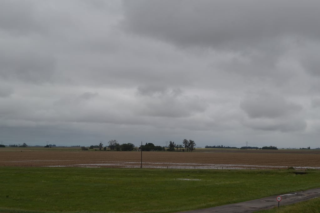 Más lluvias y temperaturas elevadas: el otoño arranca con señales de alerta para el agro 1 Más lluvias y temperaturas elevadas: el otoño arranca con señales de alerta para el agro