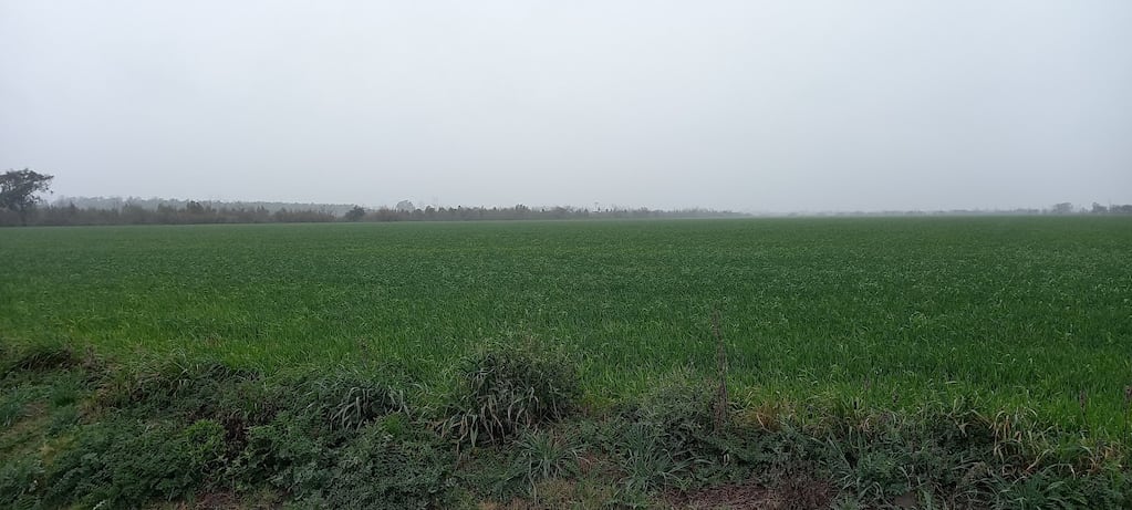 Otoño con perfil cargado y sin extremos: el agro entra en una fase de transición 1 Otoño con perfil cargado y sin extremos: el agro entra en una fase de transición