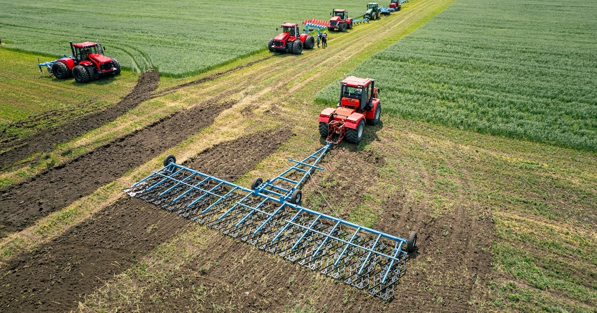 El debate sobre el “valor agregado”: 7 de los 10 mayores complejos exportadores de la Argentina comienzan en el campo