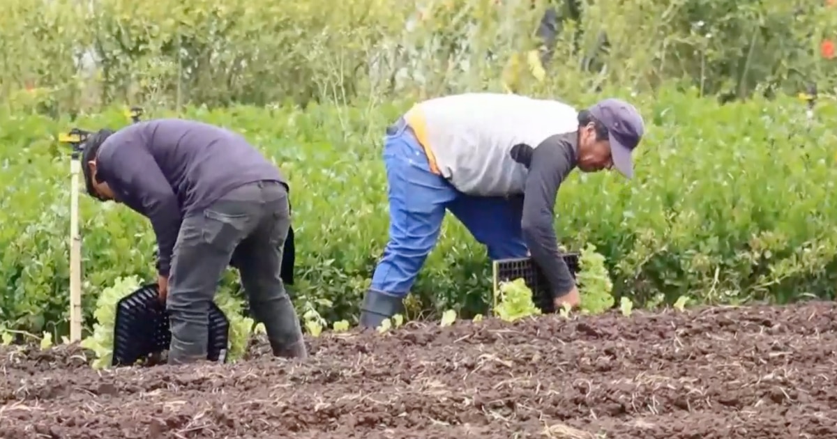 Rodrigo Chaves anuncia inversiones en riego, innovación y producción agrícola en su última gira por la provincia de Cartago