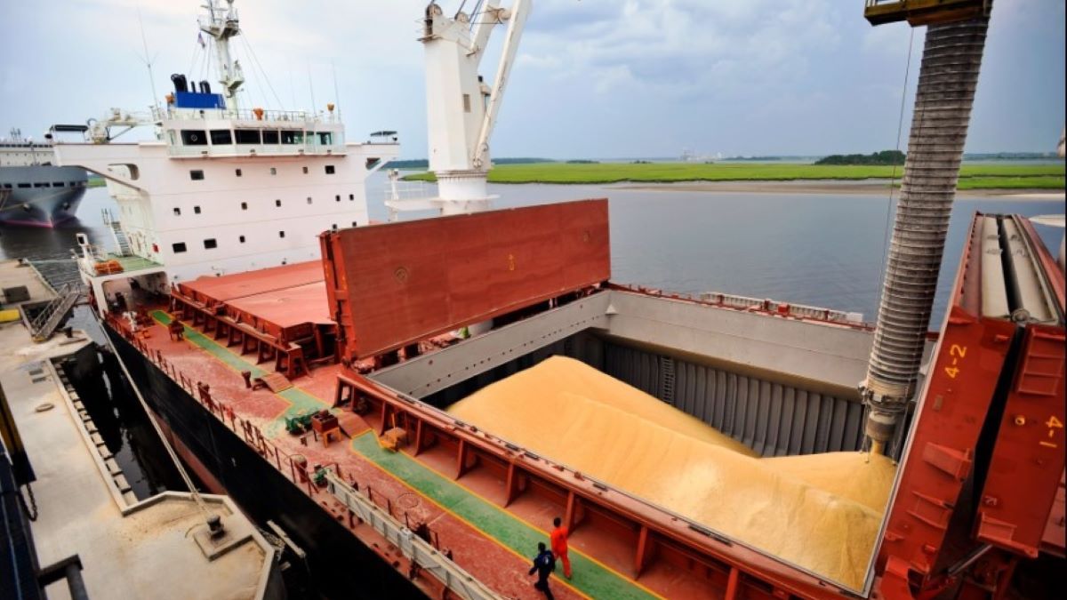 El campo argentino vuelve a liderar: podría generar más de U$S 60.000 millones este año