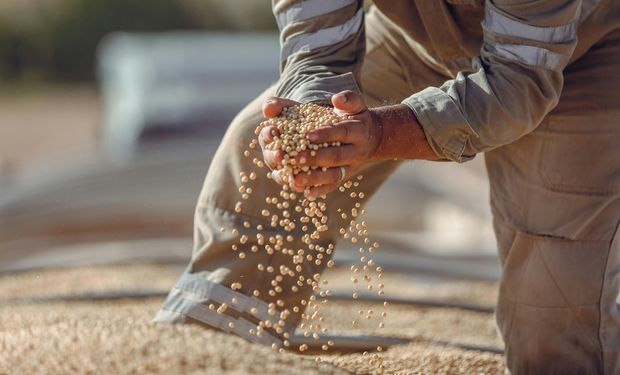 Oportunidad para el campo: se sumó otro banco a la plataforma de financiamiento que ya usan más de 6.000 productores 1 Oportunidad para el campo: se sumó otro banco a la plataforma de financiamiento que ya usan más de 6.000 productores