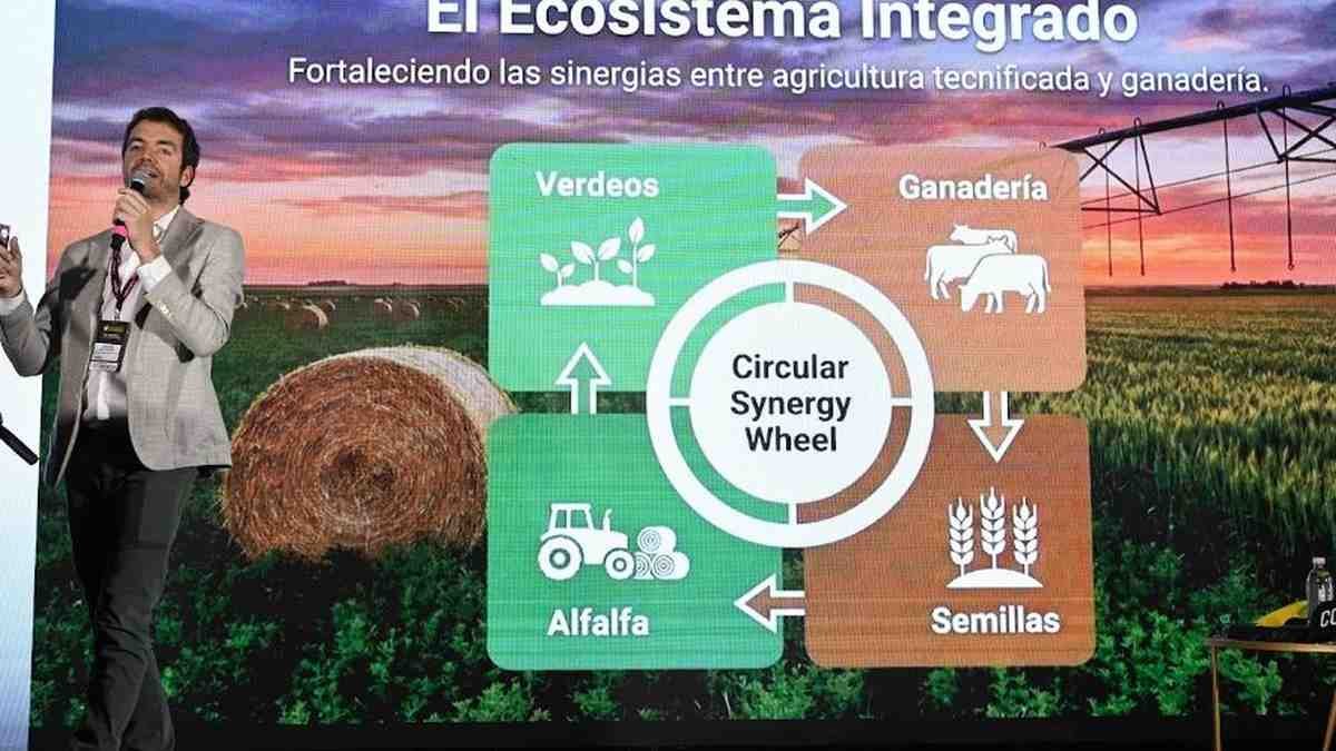 Del campo a la góndola: cómo tres empresas argentinas le sacan todo el jugo al maíz - Ruralnet Del campo a la góndola: cómo tres empresas argentinas le sacan todo el jugo al maíz