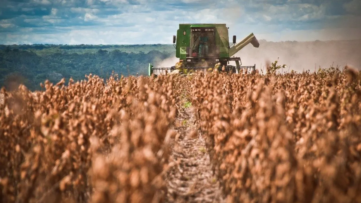 El campo vive un momento histórico, pero no todos están preparados para lo que viene 1 El campo vive un momento histórico, pero no todos están preparados para lo que viene