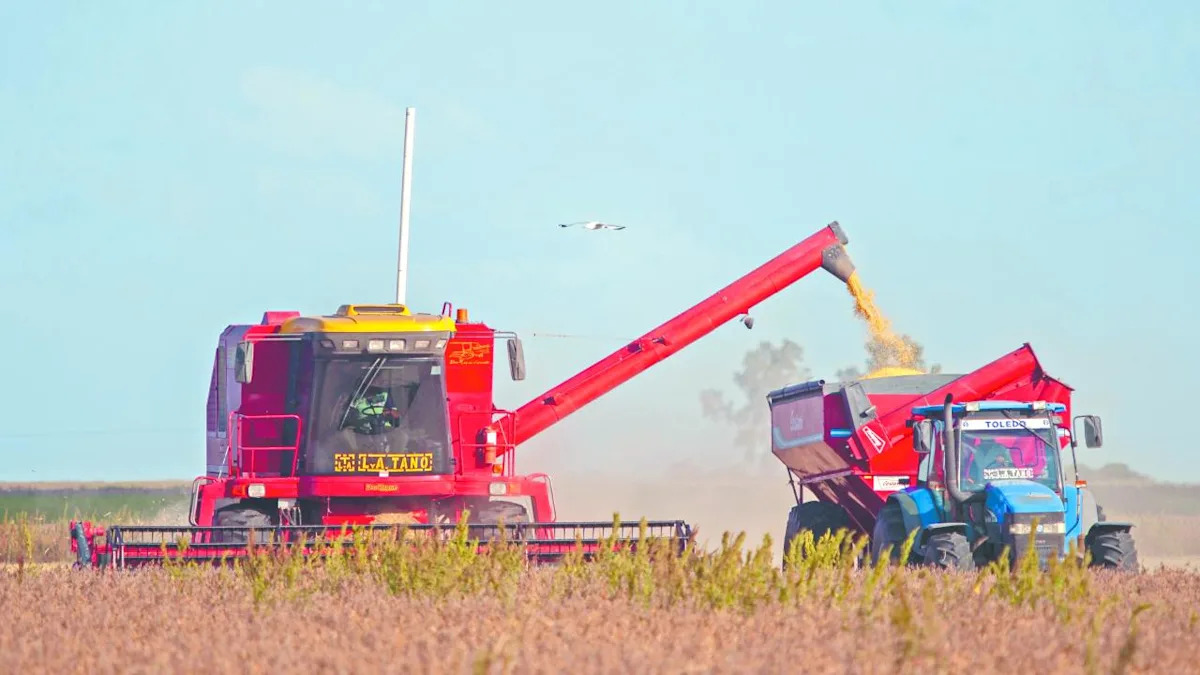 Campo e industria marcan los ritmos de la economía argentina 1 Campo e industria marcan los ritmos de la economía argentina