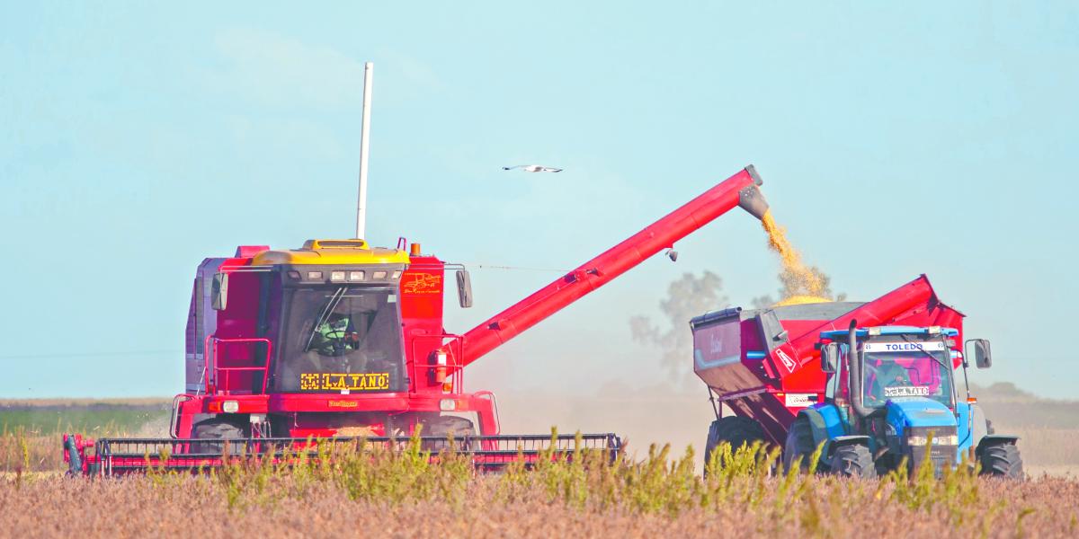 Campo e industria marcan los ritmos de la economía argentina 1 Campo e industria marcan los ritmos de la economía argentina