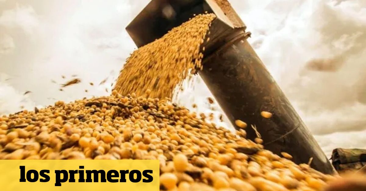 Retenciones al agro: el Gobierno oficializó la baja y el esquema de reducción hasta 2028