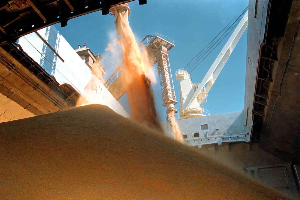 Cosecha récord y divisas: el agro cerraría el semestre con el ingreso de US$14.000 millones y alcanzaría US$37.000 millones en el año 1 Cosecha récord y divisas: el agro cerraría el semestre con el ingreso de US$14.000 millones y alcanzaría US$37.000 millones en el año
