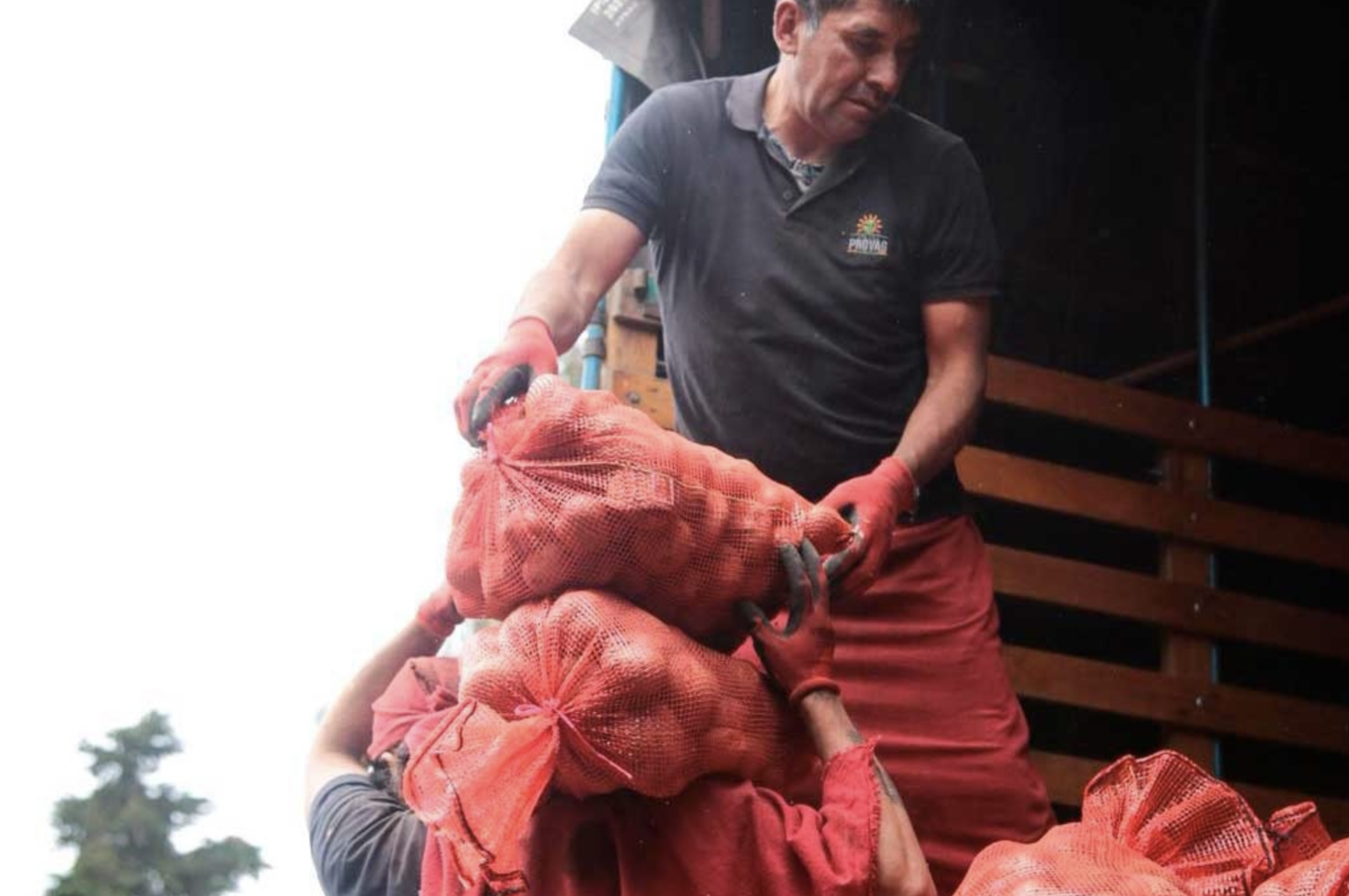 El agro colombiano alcanzó 4,9 millones de empleos en abril, el más alto en 9 años